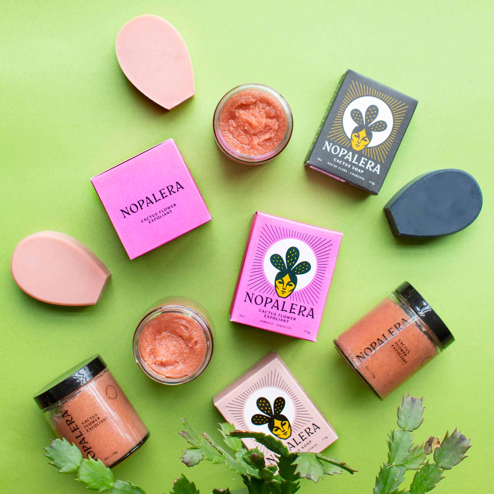 Hibiscus Cactus Flower Exfoliant