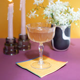 Toucan Cocktail Napkin Set