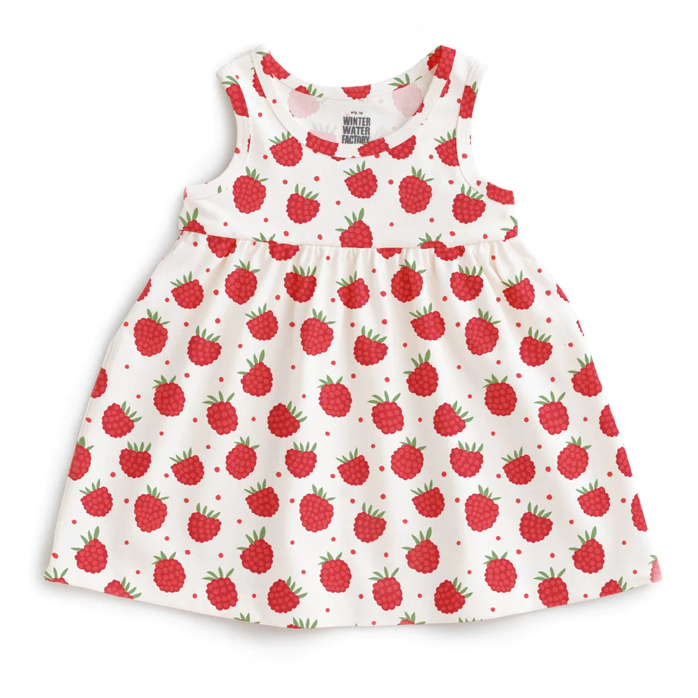 Baby Dress in Raspberries