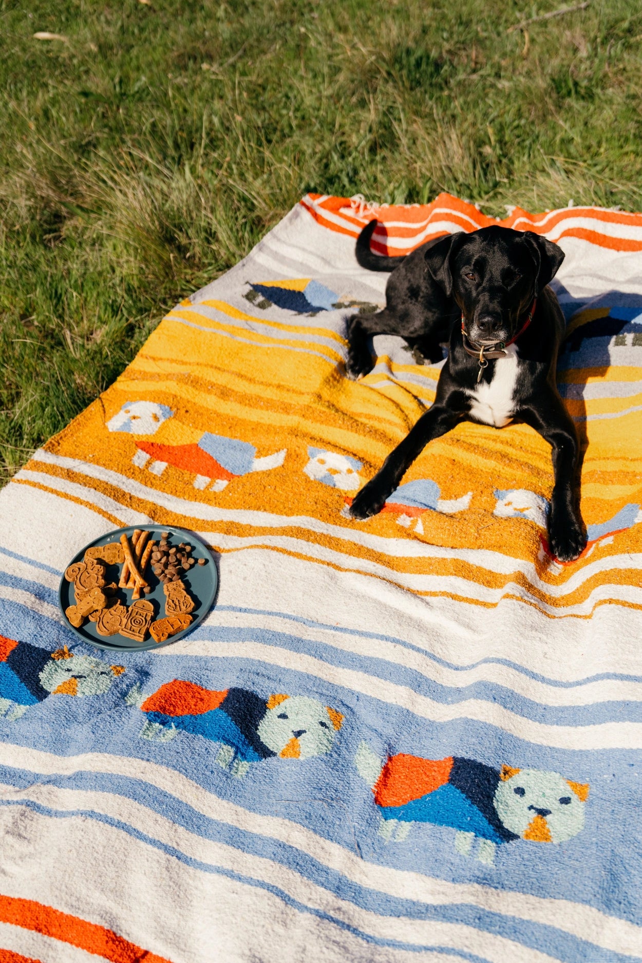 Perro Dorado Blanket Roll - Thumbnail 3