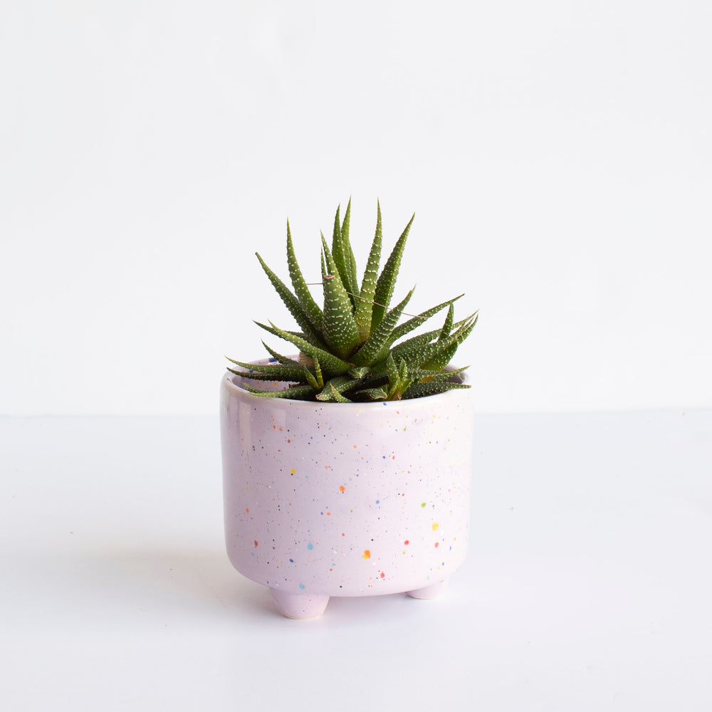 Party Foot Planter in Lilac