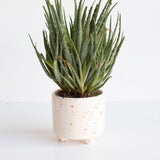 Party Foot Planter in White