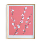 Coral Cherry Blossom Framed Print