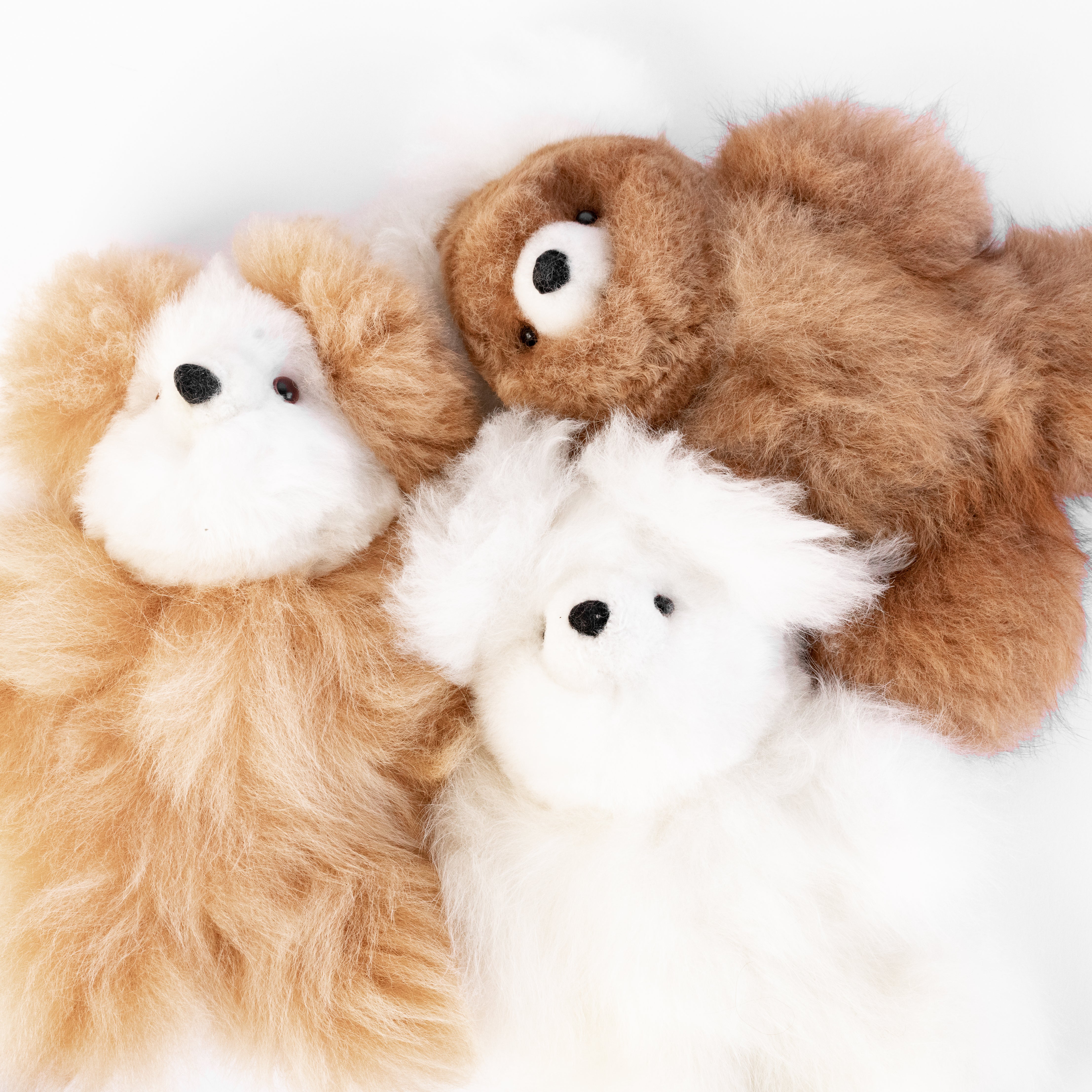 Bear Stuffed Animal – Salt & Sundry