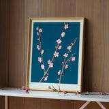 Teal Cherry Blossom Framed Print